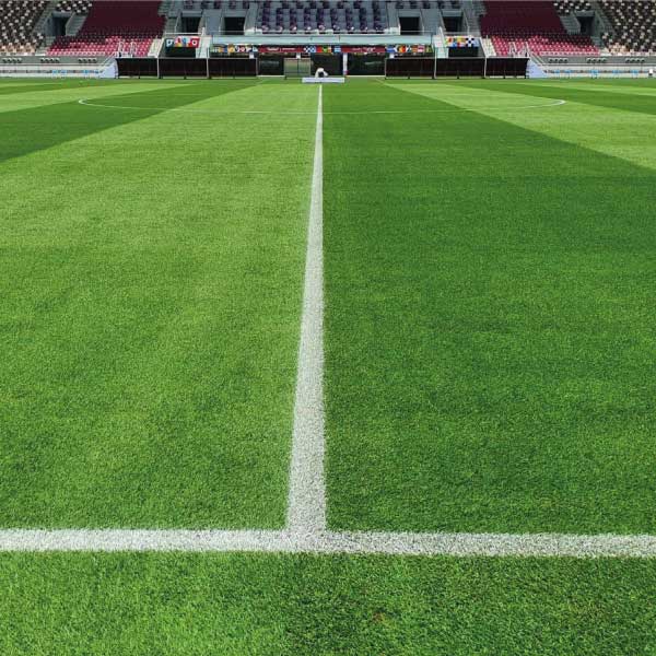 Transfer paint used to mark a pitch